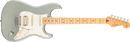 Player II Stratocaster HSS Cactus Gray