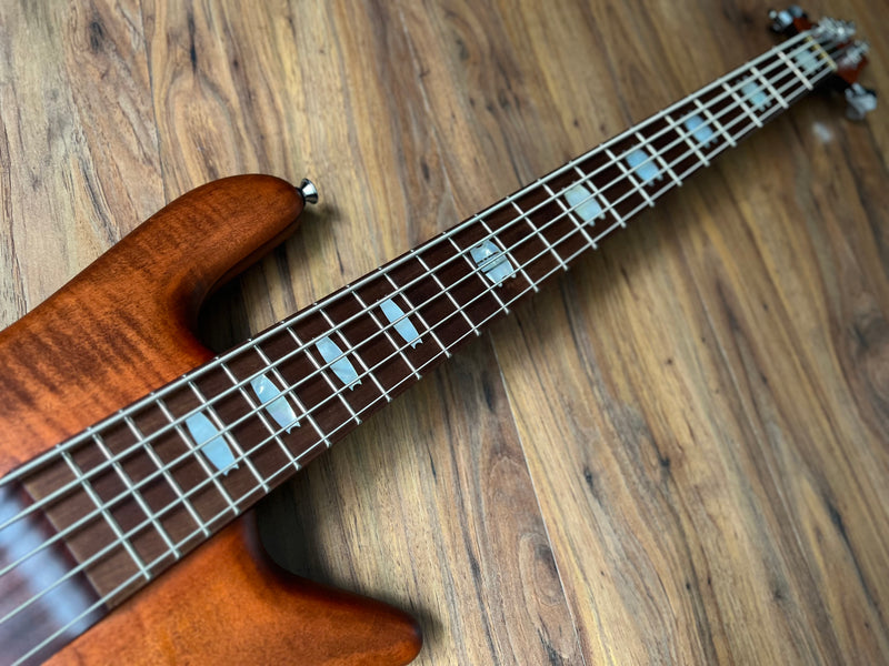 Spector Euro 5 RST Sienna Stain