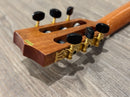 Kala Guitarra de Nylon Solid Mahogany Thinline