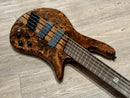 Spector Dimension 5 Super Faded Black Gloss G1