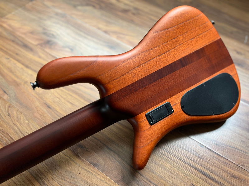 Spector Euro 5 RST Sienna Stain