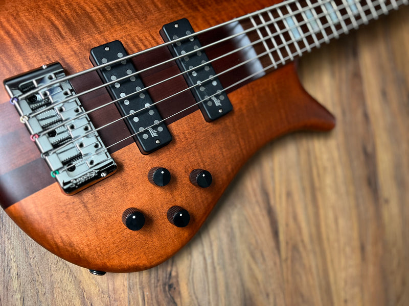 Spector Euro 5 RST Sienna Stain