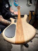 Spector Euro 4 RST Zebrawood