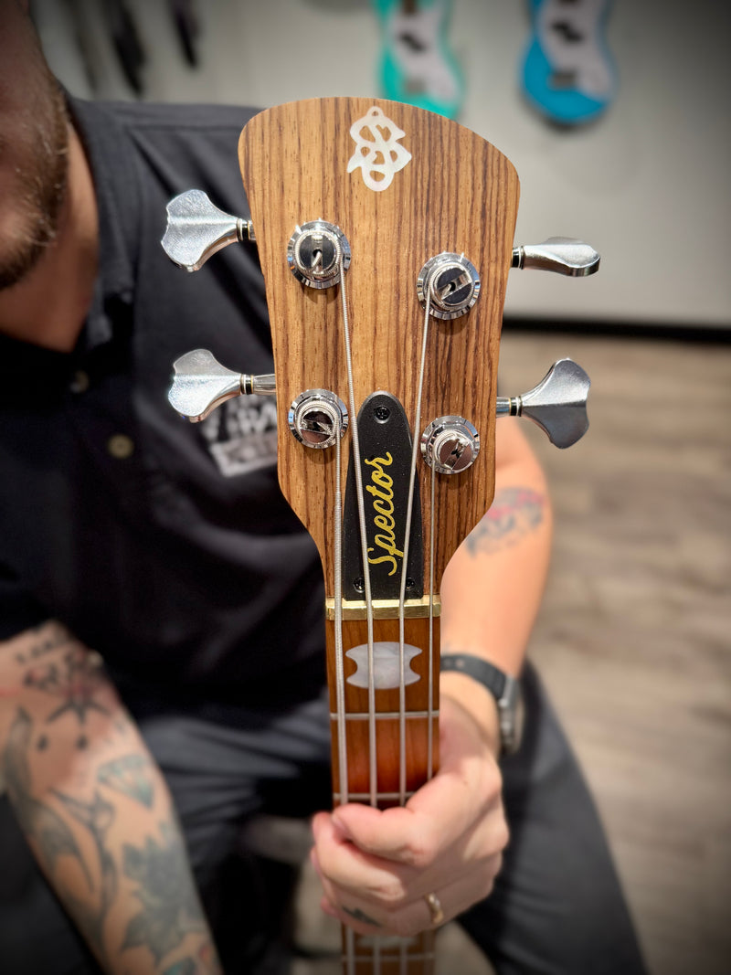 Spector Euro 4 RST Zebrawood