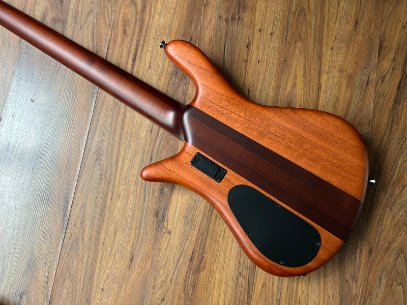 Spector Euro 5 RST Sienna Stain