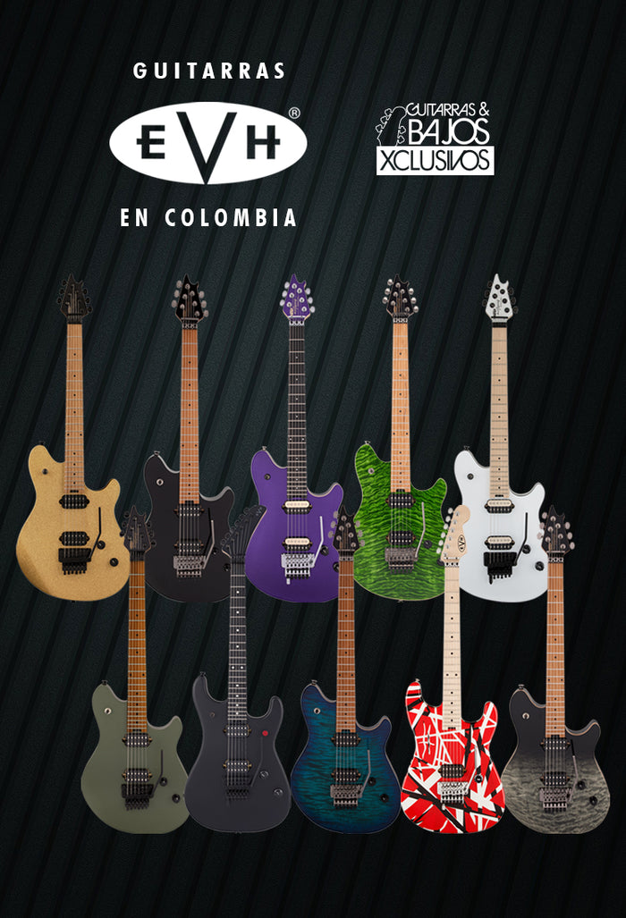 Guitarras y Bajos Xclusivos