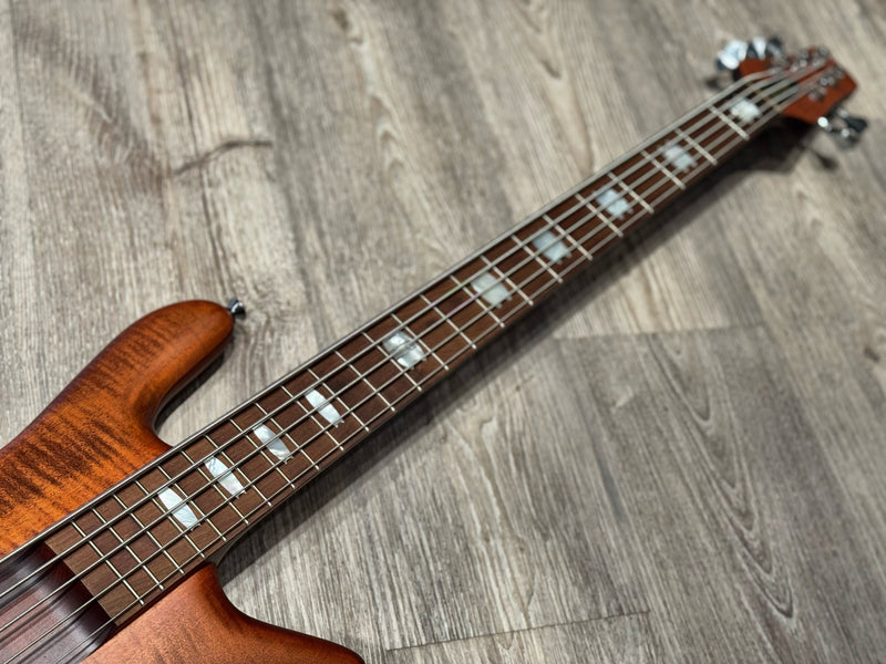 Spector Euro 5 RST Sienna Stain B-Stock