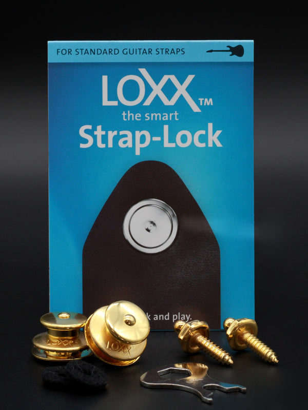 Seguros Para Correa Standard Gold